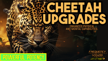 Load image into Gallery viewer, Cheetah Upgrades (Enhanced Physical and Mental Capabilities)