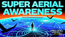 Load image into Gallery viewer, Super Aerial Omni-Directional Vision - Bird's Perception