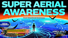 Load image into Gallery viewer, Super Aerial Omni-Directional Vision - Bird's Perception