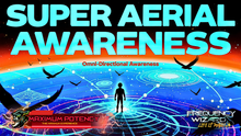 Load image into Gallery viewer, Super Aerial Omni-Directional Vision - Bird's Perception