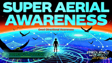 Load image into Gallery viewer, Super Aerial Omni-Directional Vision - Bird's Perception