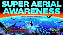 Load image into Gallery viewer, Super Aerial Omni-Directional Vision - Bird's Perception