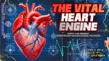 Load image into Gallery viewer, THE VITAL HEART ENGINE ❤️ Built for Balance and Longevity