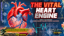 Load image into Gallery viewer, THE VITAL HEART ENGINE ❤️ Built for Balance and Longevity