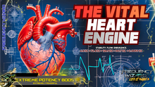 Load image into Gallery viewer, THE VITAL HEART ENGINE ❤️ Built for Balance and Longevity