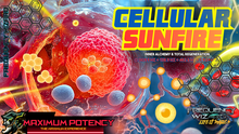 Load image into Gallery viewer, CELLULAR SUNFIRE (Inner Alchemy and Regeneration)
