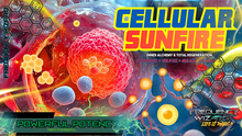 Load image into Gallery viewer, CELLULAR SUNFIRE (Inner Alchemy and Regeneration)