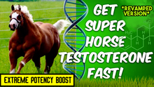 Load image into Gallery viewer, Get Super horse Testosterone Fast (Revamped Version)