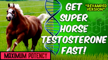 Load image into Gallery viewer, Get Super horse Testosterone Fast (Revamped Version)