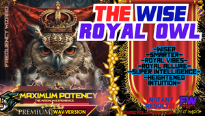 The Wise Royal Owl (LIFE CHANGING!)