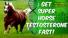 Load image into Gallery viewer, Get Super horse Testosterone Fast (Revamped Version)