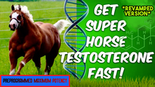 Load image into Gallery viewer, Get Super horse Testosterone Fast (Revamped Version)