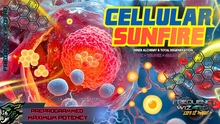 Load image into Gallery viewer, CELLULAR SUNFIRE (Inner Alchemy and Regeneration)