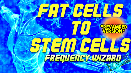 Fat Cell to Stem Cell Conversion (Revamped Version)