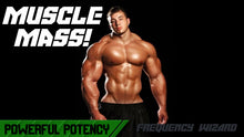 Load image into Gallery viewer, BUILD MUSCLE MASS FAST! SUBLIMINAL FREQUENCY WIZARD