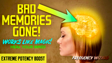 Load image into Gallery viewer, ERASE UNWANTED MEMORIES FAST! HEAL YOUR MIND TO ATTRACT RESULTS! REMOVE BAD MEMORY BLOCKAGES! FREQUENCY WIZARD