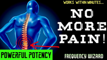 Load image into Gallery viewer, FIX LOWER BACK PAIN FAST! FORCED SUBLIMINAL FREQUENCY WIZARD