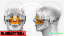 Load image into Gallery viewer, GET AN UPWARD &amp; FORWARD PULLED MAXILLA FAST! SUBLIMINAL BINAURAL BEAT HYPNOSIS FREQUENCY MEDITATION - FREQUENCY WIZARD