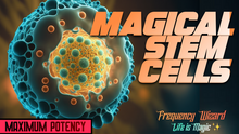 Load image into Gallery viewer, Enhanced Smart Stem Cells (SUPER HEALING FORMULA)