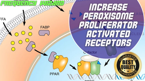 Increase Peroxisome Proliferator-Activated Receptors Fast!