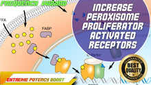 Load image into Gallery viewer, Increase Peroxisome Proliferator-Activated Receptors Fast!