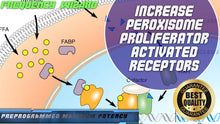 Load image into Gallery viewer, Increase Peroxisome Proliferator-Activated Receptors Fast!