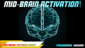 Mid-Brain Activation! Make the World Become Yours!