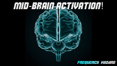 Mid-Brain Activation! Make the World Become Yours!