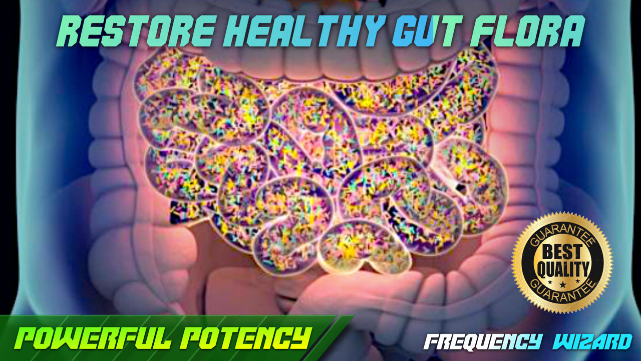 Restore Healthy Gut Flora Bacteria Fast!
