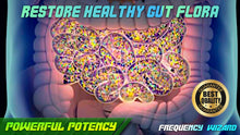 Load image into Gallery viewer, Restore Healthy Gut Flora Bacteria Fast!