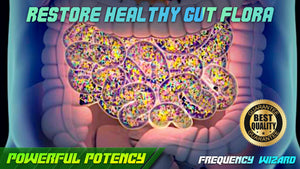 Restore Healthy Gut Flora Bacteria Fast!